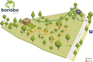 Parcours vert et jaune Bonobo Parc