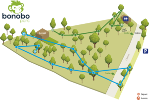 Parcours vert et bleu Bonobo Parc